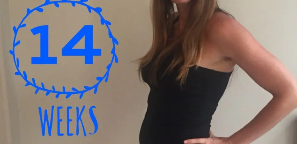 14 Weeks Pregnant