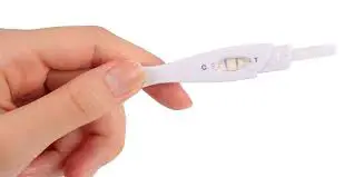 How to Read a Pregnancy Test