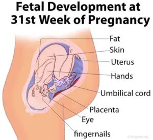31-weeks-pregnant-head-down
