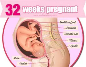 32-weeks-pregnant-in-months