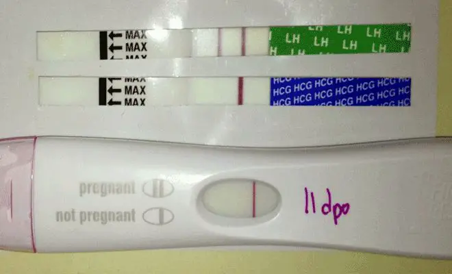 What Does A Positive Ovulation Test Look Like