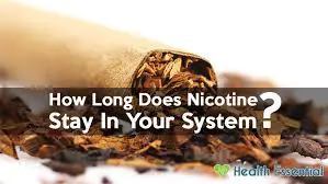 How Long Before Nicotine Is Out Of Your System