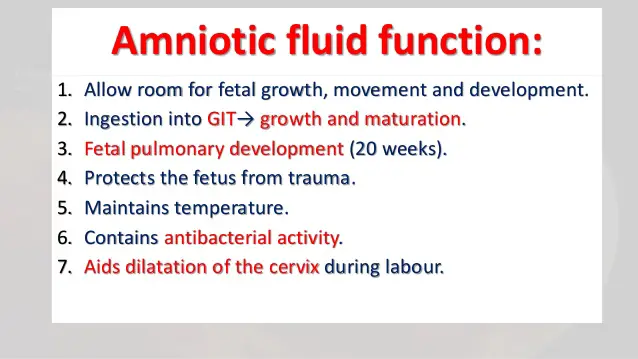 What Does Amniotic Fluid Look Like