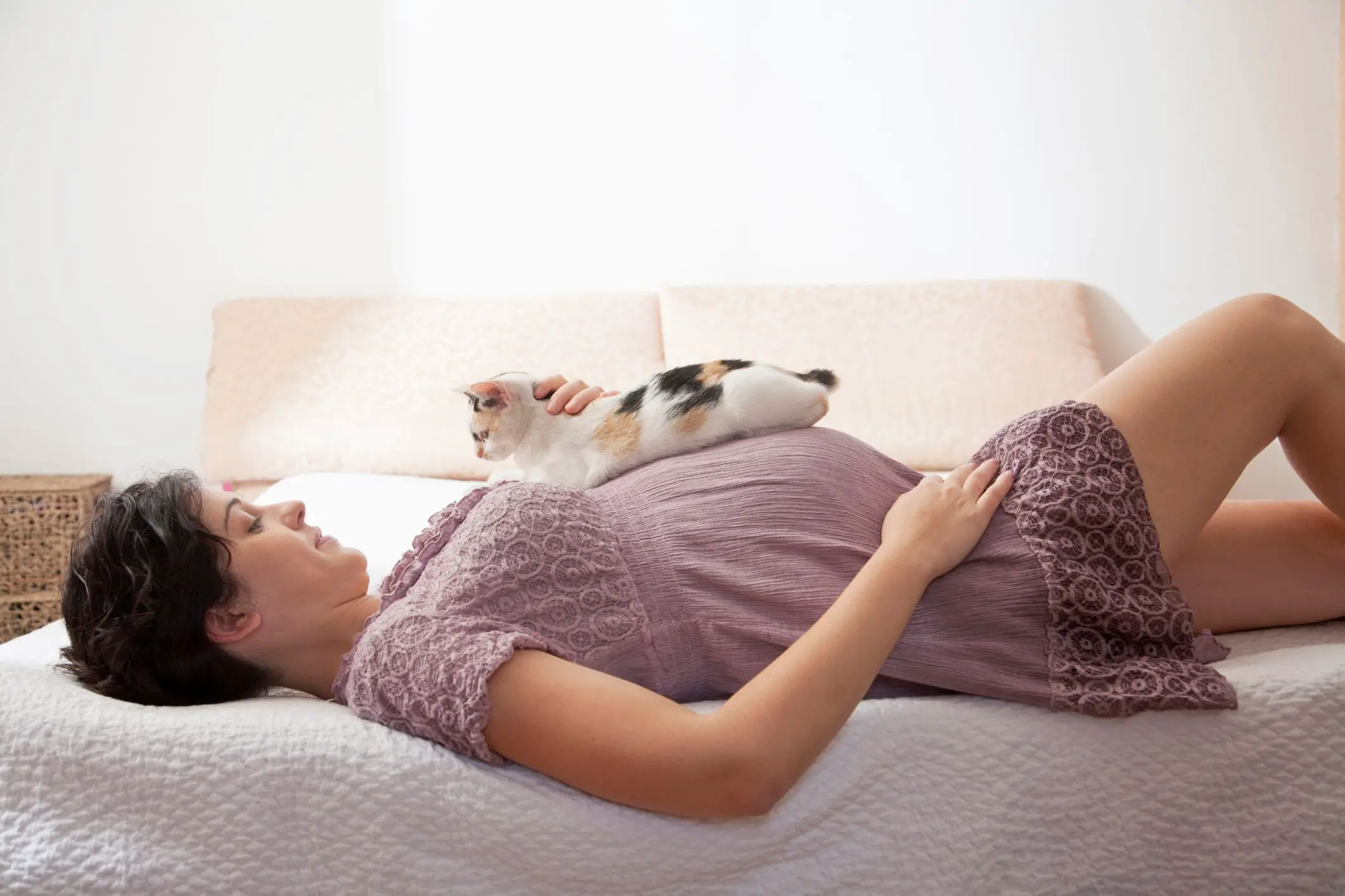 Pregnant Woman And Cats 44