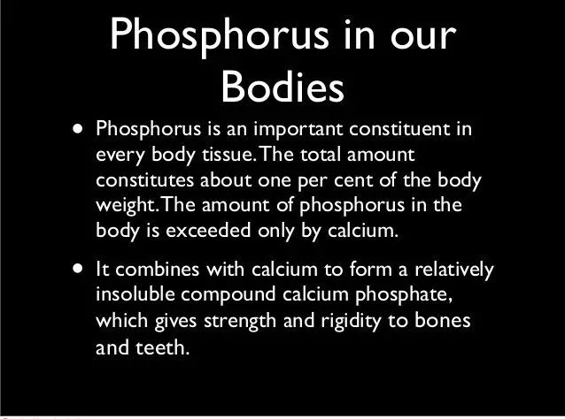 What Is Phosphorus Used For In The Body