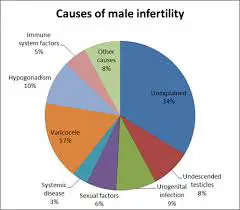 What Causes Infertility In Men