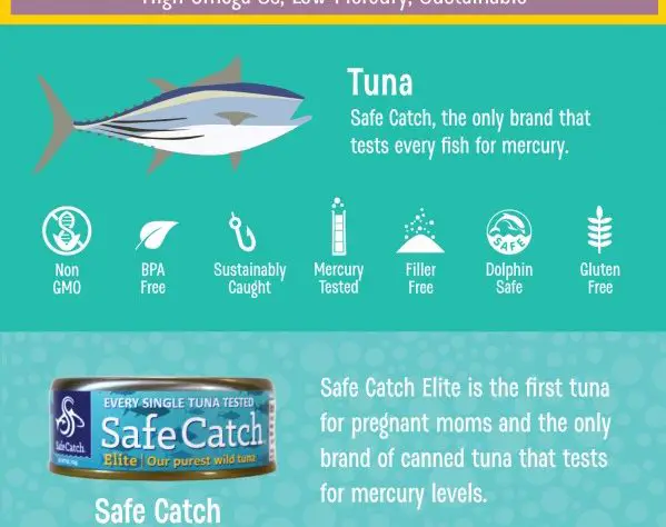 Can You Eat Tuna Fish While Pregnant