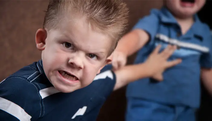 What Are Some Of The Causes Of Aggression In Children