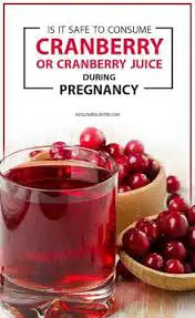 Is Cranberry Safe To Take During Pregnancy