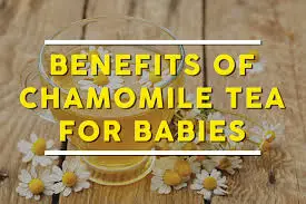 Is Chamomile Tea Safe For Babies