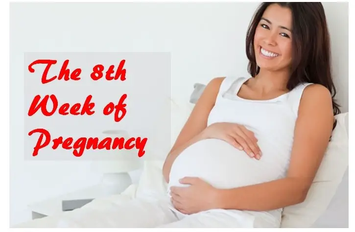 8 Weeks Pregnant