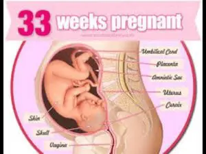 33-weeks-pregnant-is-how-many-months