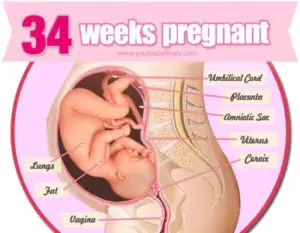 34-weeks-pregnant-is-how-many-months