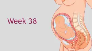38 weeks pregnant signs of labor