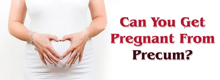 Can You Get Pregnant With Precum