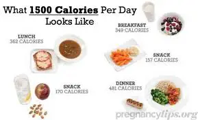 How Many Calories While Pregnant