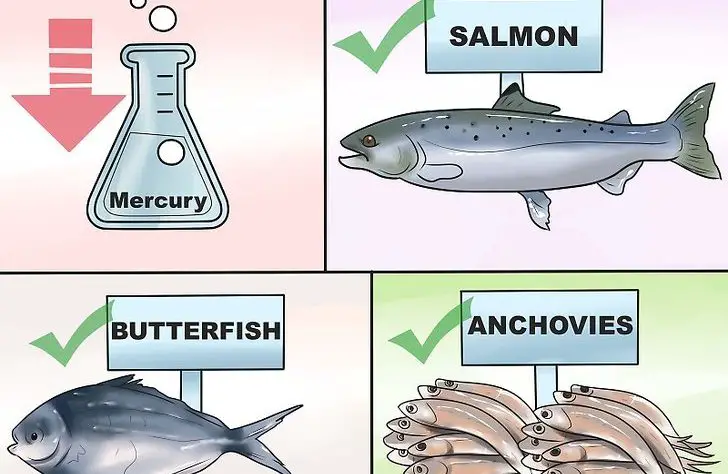 What Fish Are Safe To Eat During Pregnancy