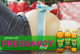 Pine Sol Pregnancy Test Review